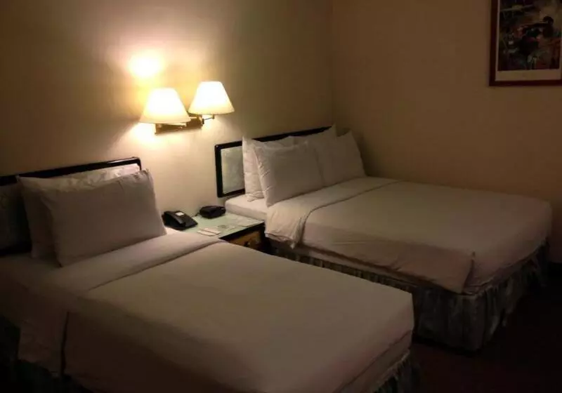 Fotos del hotel The Premier:  14