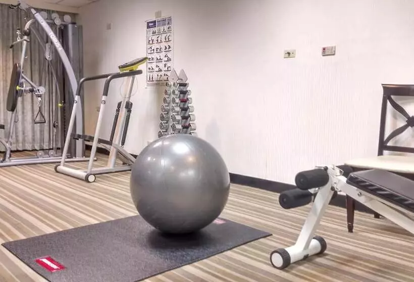 Fotos del hotel The Premier:  12