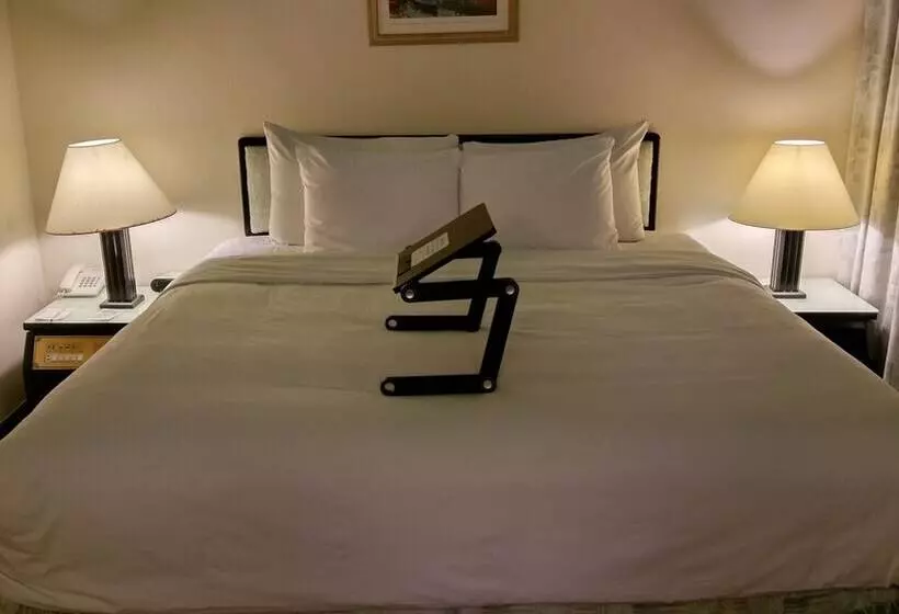 Fotos del hotel The Premier:  16