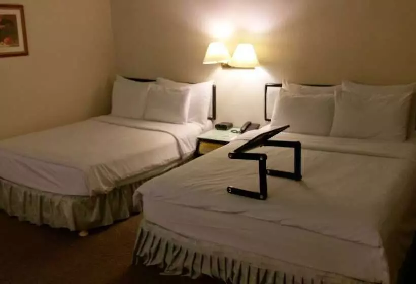 Fotos del hotel The Premier:  7