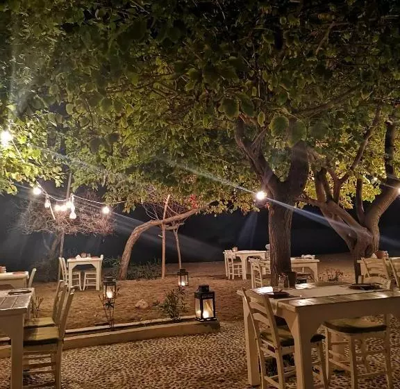 Fotos del hotel Yonca Lodge:  3