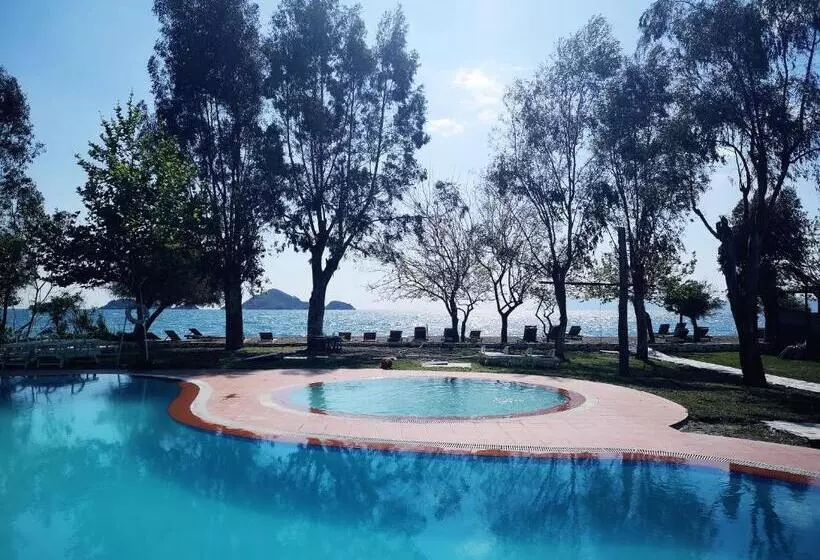 Fotos del hotel Yonca Lodge:  14