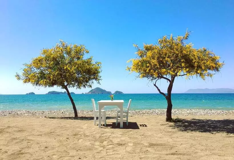 Fotos del hotel Yonca Lodge:  7