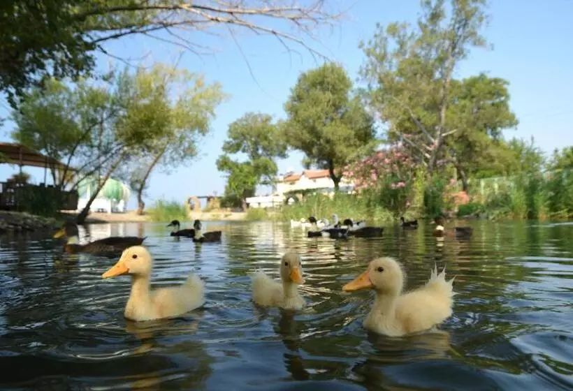 Fotos del hotel Yonca Lodge:  9