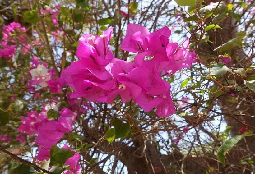 Fotos del hotel Keur Marrakis:  6