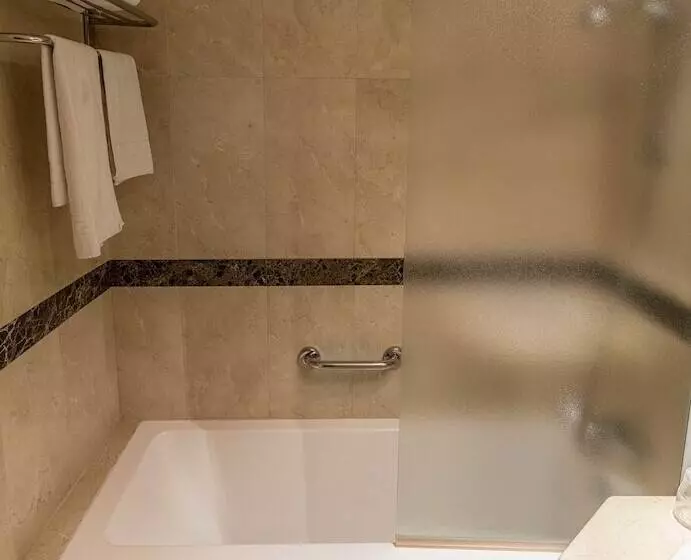 Fotos del hotel Sevilla:  19