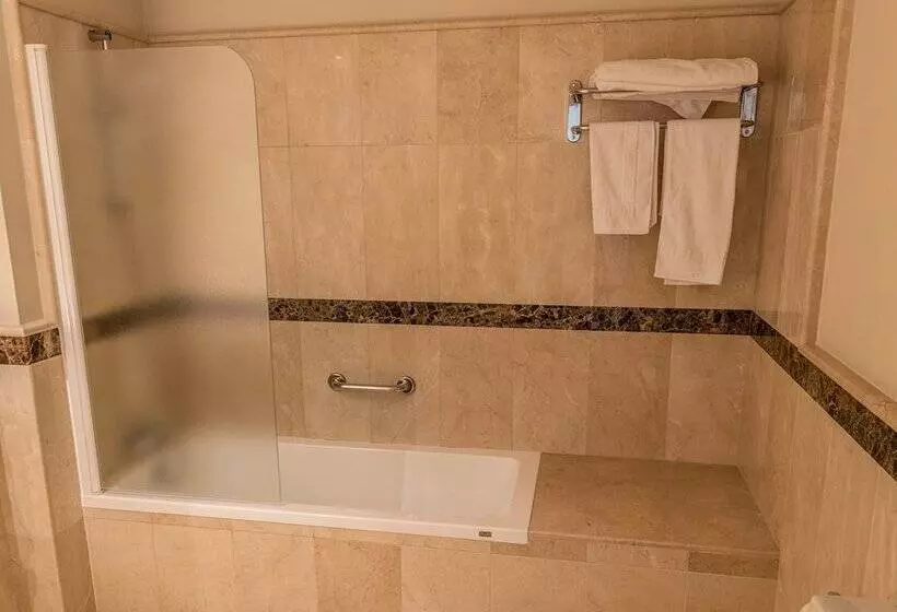 Fotos del hotel Sevilla:  17