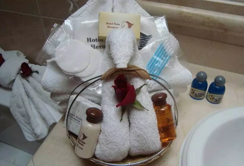Fotos del hotel Vista Hermosa:  5