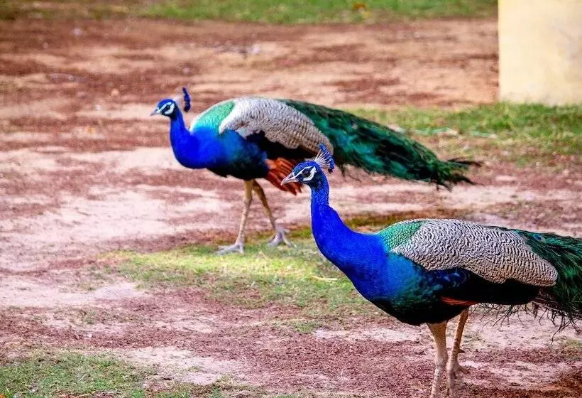 Fotos del hotel Anuraag Villa:  16