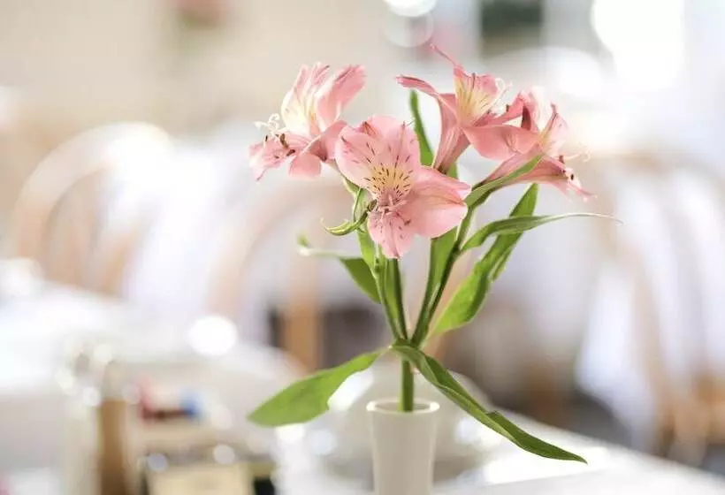 Fotos del hotel Edgar Townhouse:  15