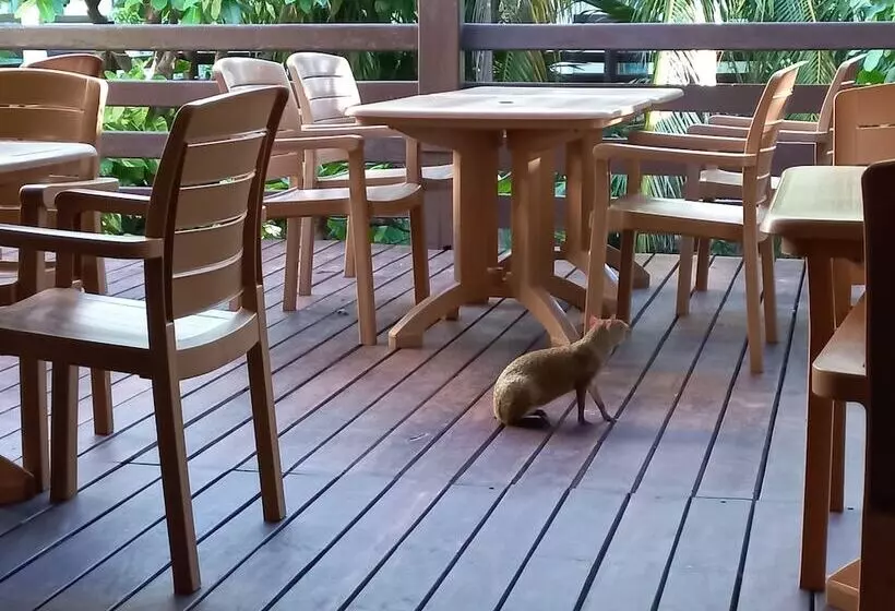 Fotos del hotel Posada Sian Kaan:  4