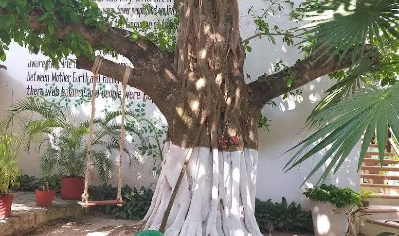 Fotos del hotel Posada Sian Kaan:  5