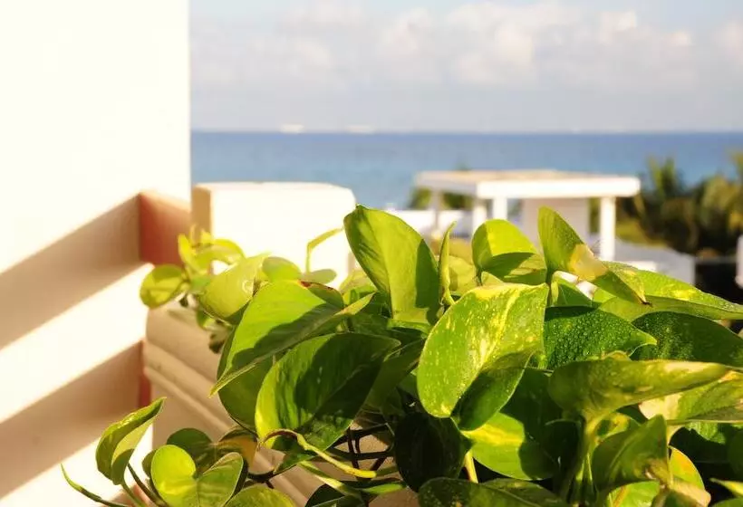 Fotos del hotel Posada Sian Kaan:  7