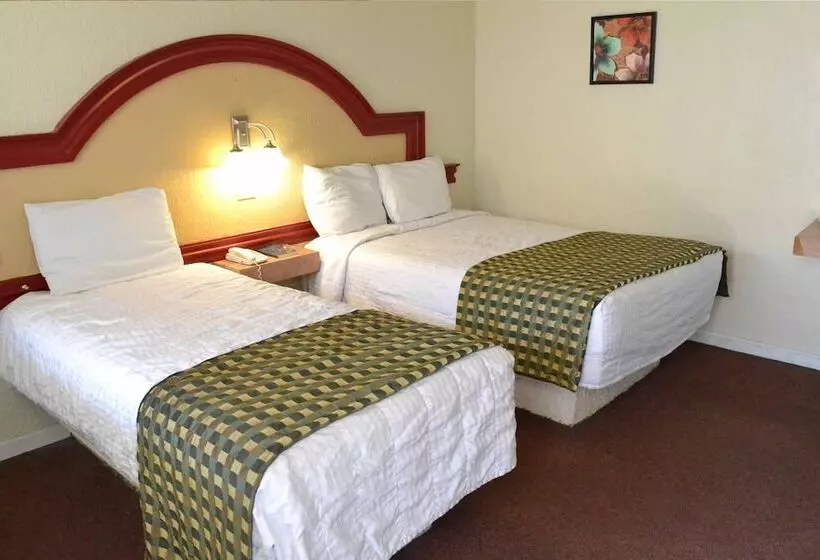 Fotos del hotel Flamingo:  1