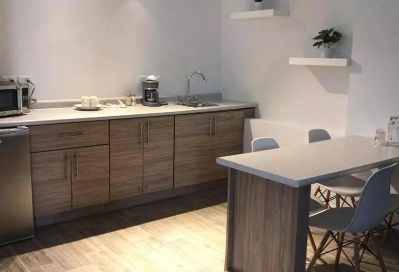 Fotos del hotel Flamingo:  3