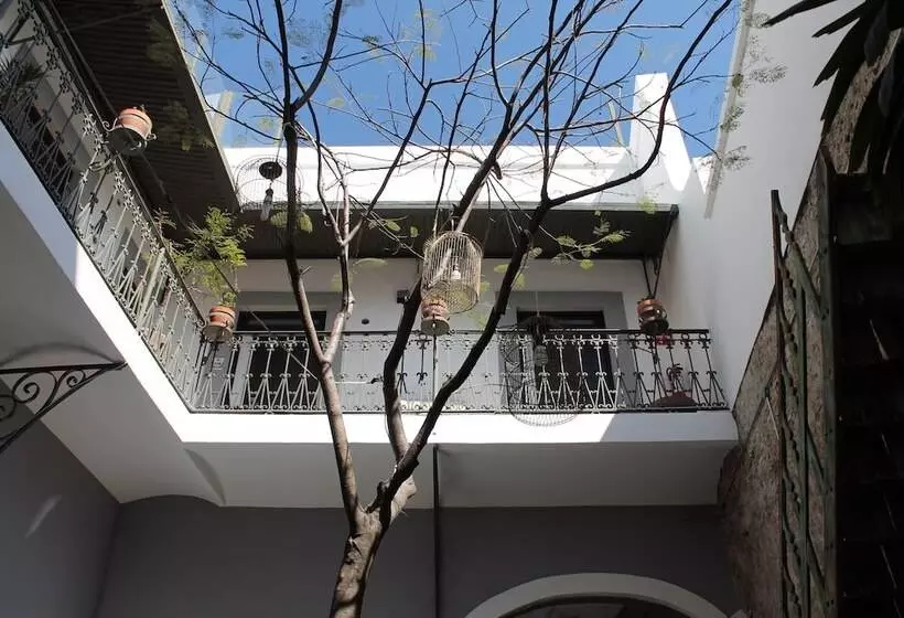 Fotos del hotel Kuku Ruku:  18