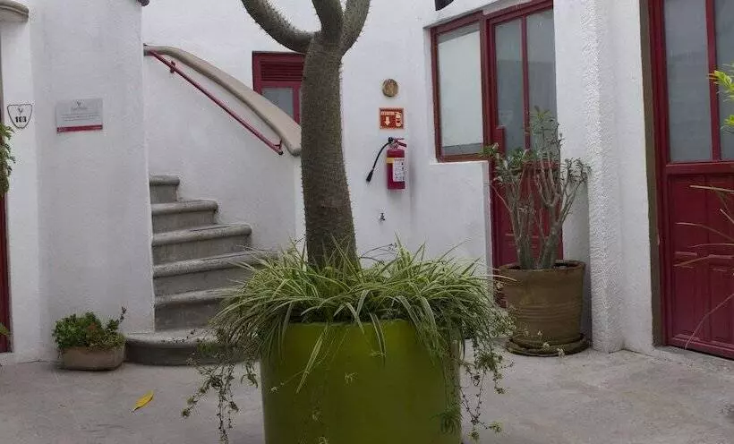 Fotos del hotel Kuku Ruku:  11