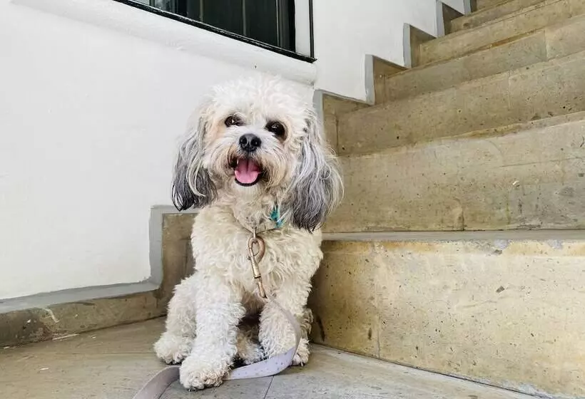 Fotos del hotel Kuku Ruku:  3