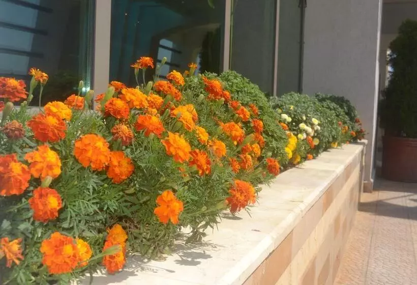 Fotos del hotel Phoenicia Express:  10