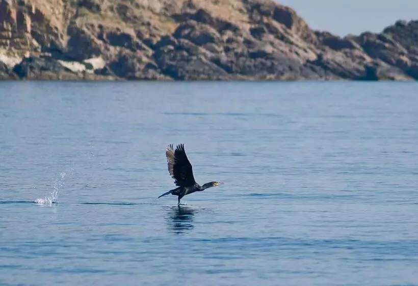 Fotos del hotel South Pearl Apart:  6