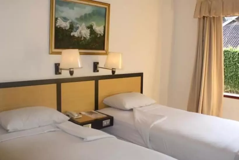 Fotos del hotel Nikki:  8