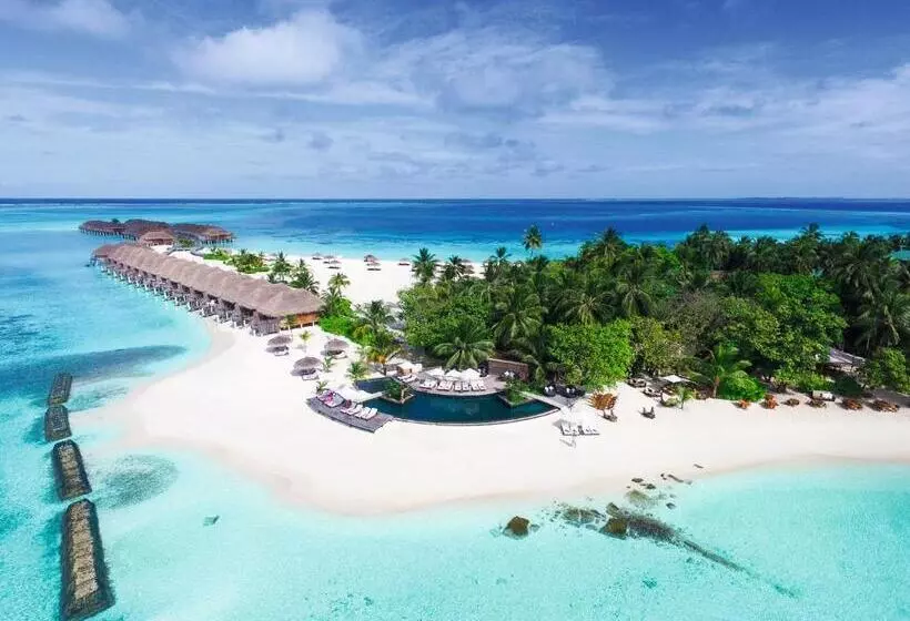 Fotos del hotel Constance Moofushi Maldives All Inclusive :  23