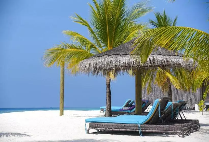 Fotos del hotel Constance Moofushi Maldives All Inclusive :  12