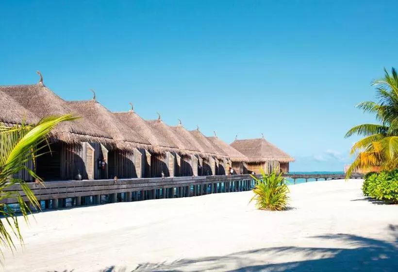 Fotos del hotel Constance Moofushi Maldives All Inclusive :  6