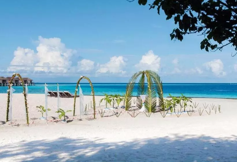 Fotos del hotel Constance Moofushi Maldives All Inclusive :  7