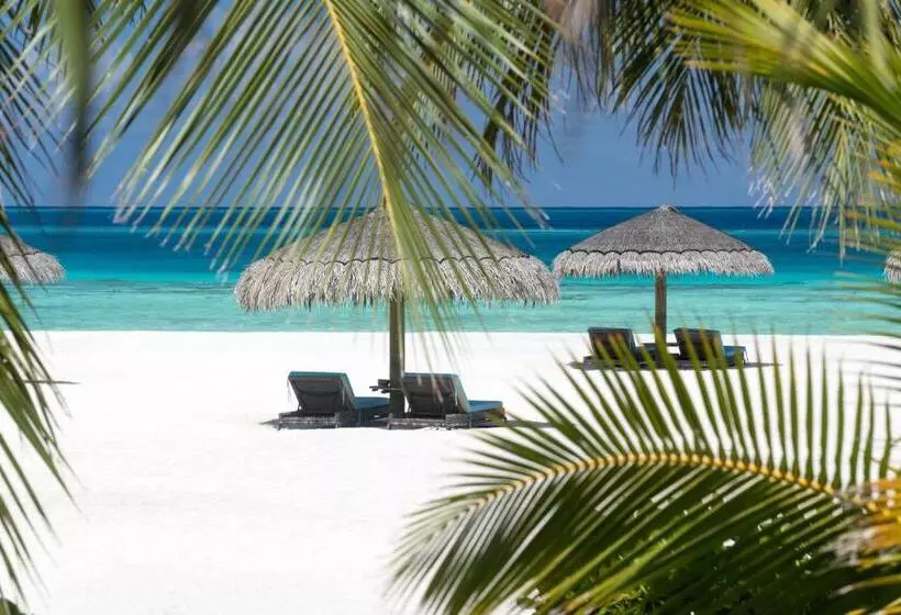Fotos del hotel Constance Moofushi Maldives All Inclusive :  11