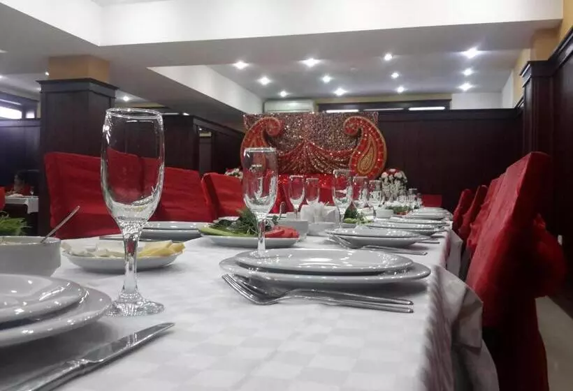 Fotos del hotel Alp Inn Hotel:  4