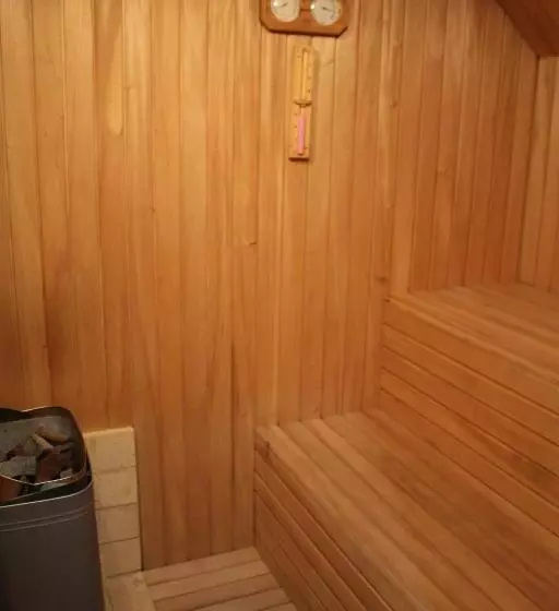 Fotos del hotel Alp Inn Hotel:  3