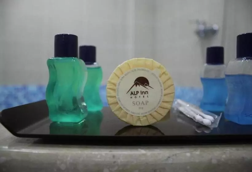 Fotos del hotel Alp Inn Hotel:  12