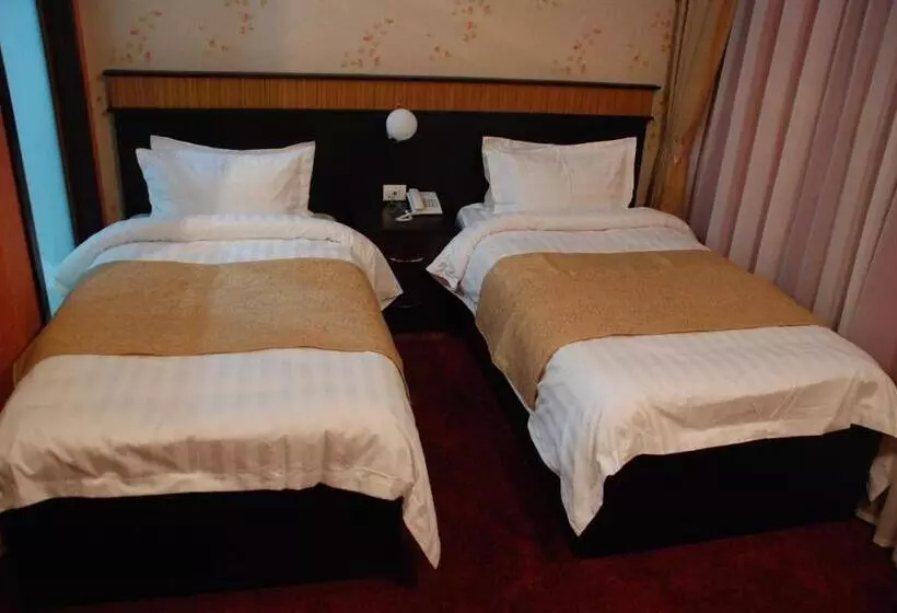 Fotos del hotel Alp Inn Hotel:  19