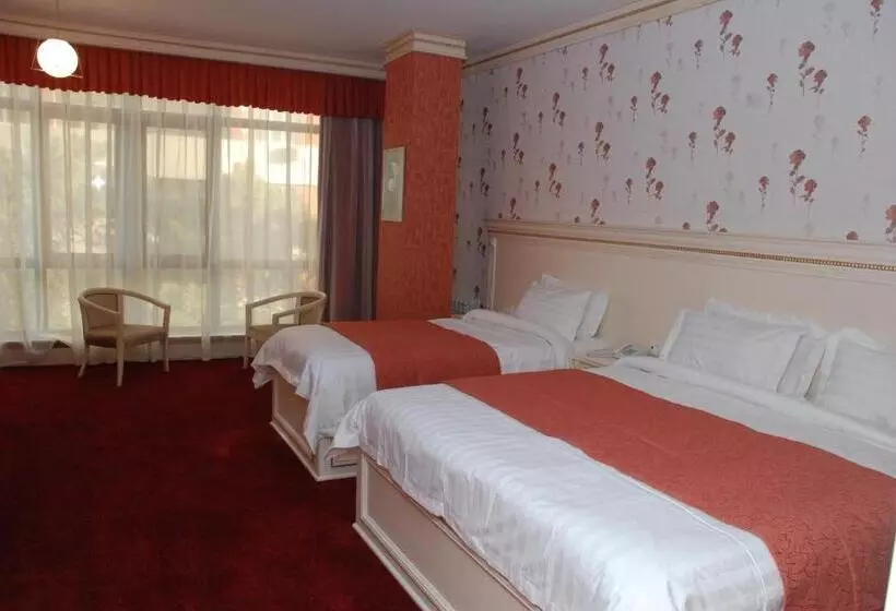 Fotos del hotel Alp Inn Hotel:  16