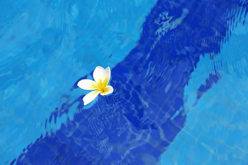 Fotos del hotel Sheraton Fuzhou:  12