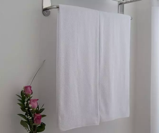 Fotos del hotel Best Western Calleja Suites:  8