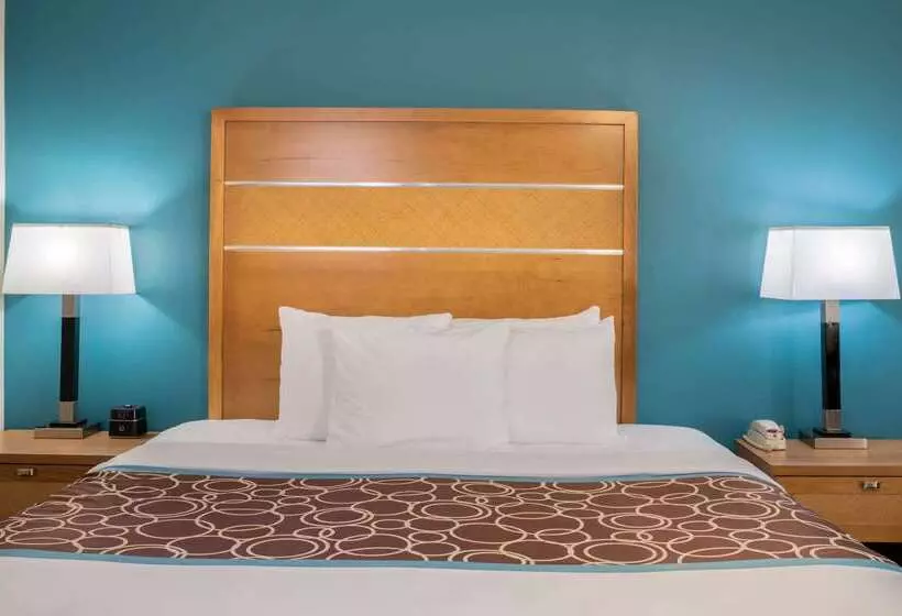 Fotos del hotel La Quinta By Wyndham Houston Willowbrook:  15