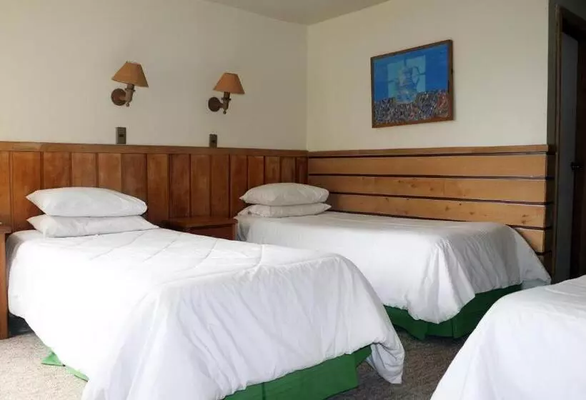 Fotos del hotel El Greco Puerto Varas:  22