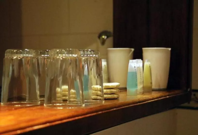 Fotos del hotel El Greco Puerto Varas:  21