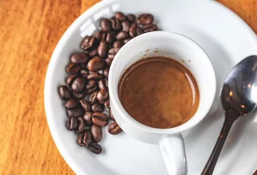 Fotos del hotel El Greco Puerto Varas:  10