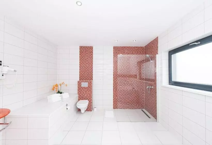 Fotos del hotel Phenix:  20