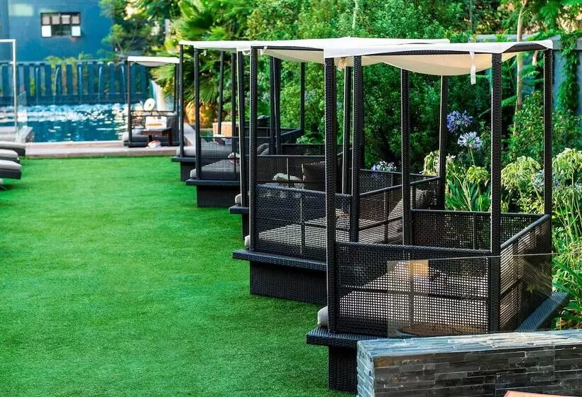 Fotos del hotel Renaissance Santiago:  21