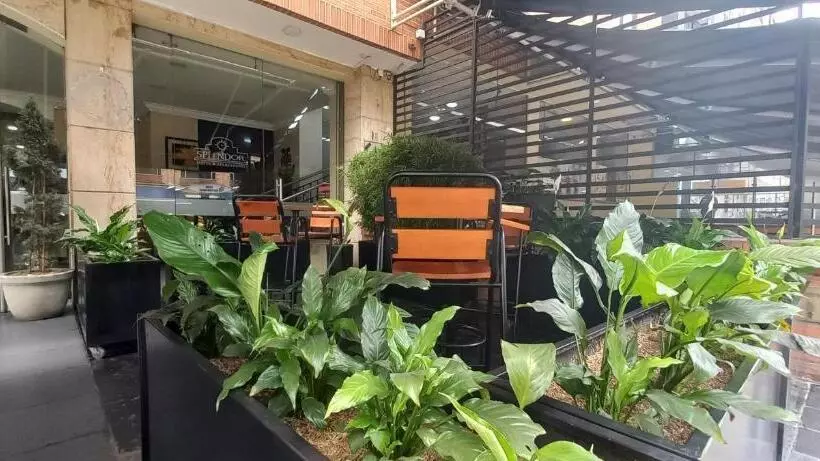 Fotos del hotel Splendor By Friends Company:  5