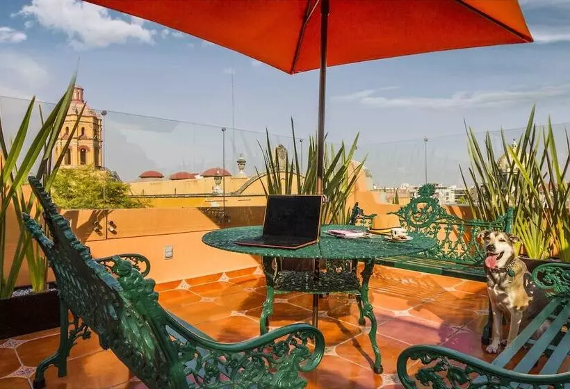 Fotos del hotel Templo Mayor:  19