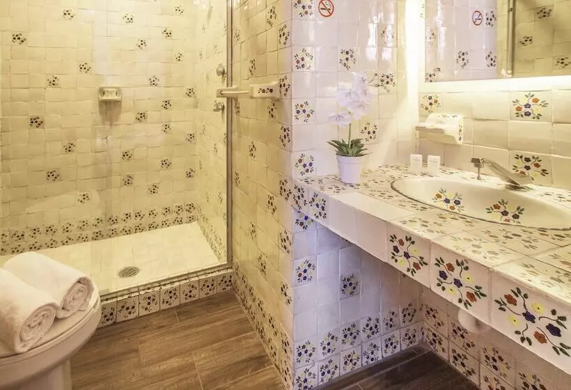 Fotos del hotel Templo Mayor:  15