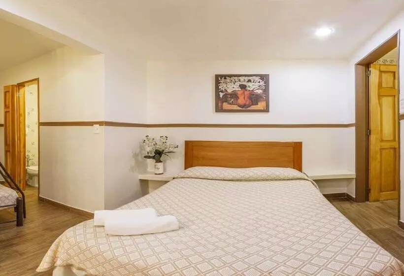 Fotos del hotel Templo Mayor:  11