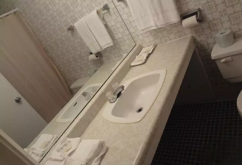 Fotos del hotel Empress Inn And Suites By The Falls:  14