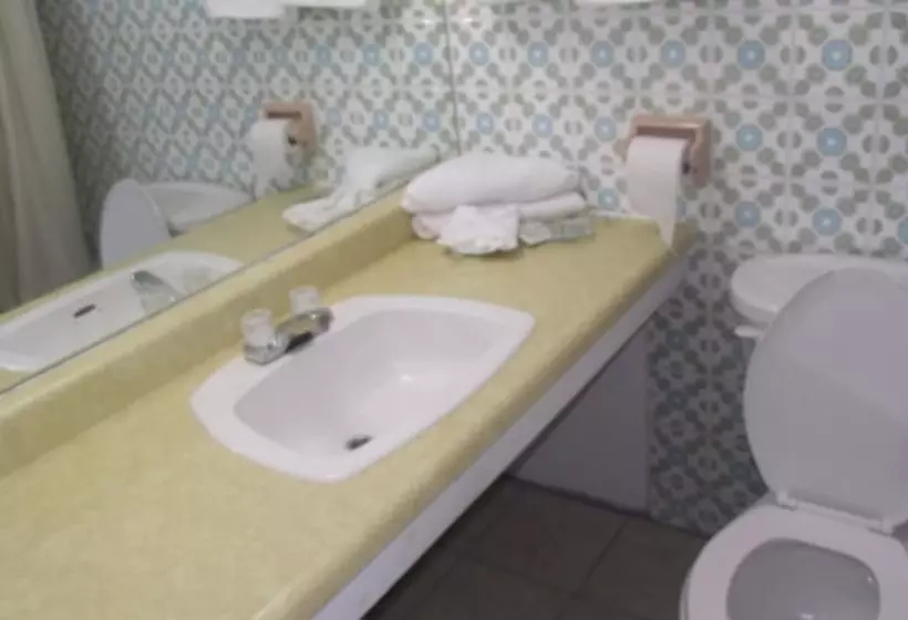 Fotos del hotel Empress Inn And Suites By The Falls:  10