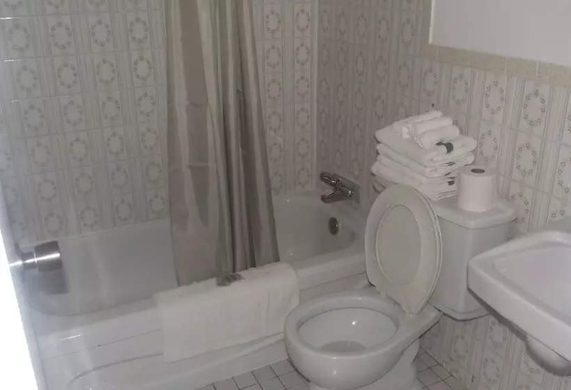 Fotos del hotel Empress Inn And Suites By The Falls:  4